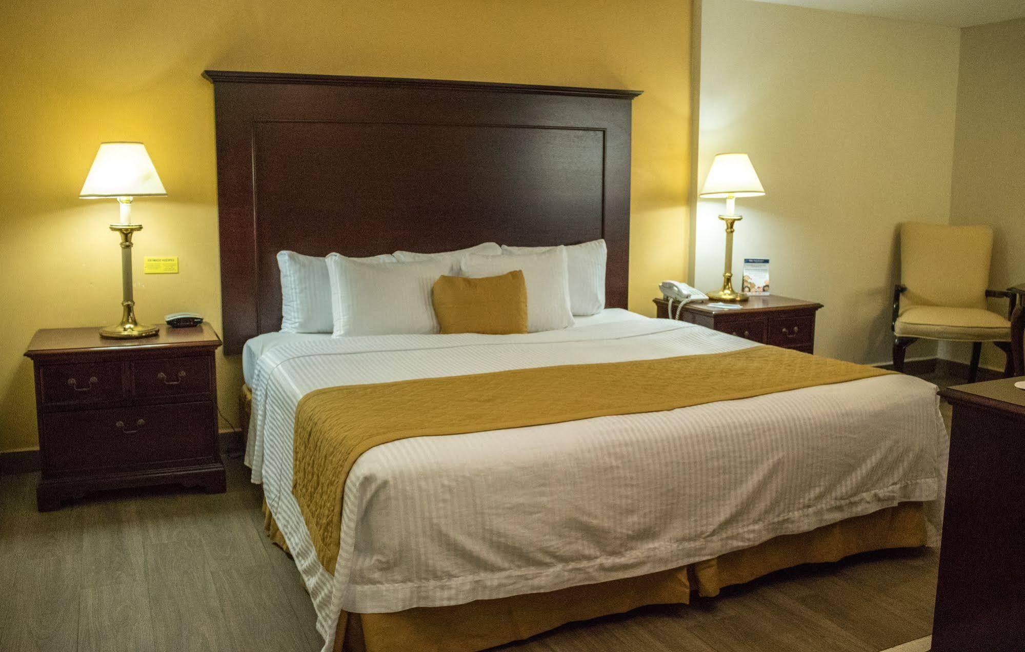 Hotel Plaza Calzada 蒙特雷 外观 照片
