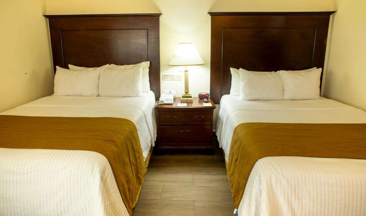Hotel Plaza Calzada 蒙特雷 外观 照片